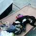 Kathleen Timothy Photo 9