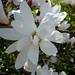 Christopher Bradford Photo 22