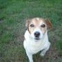 Barbara Colvin Photo 15
