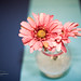 Mandy Dunlap Photo 16