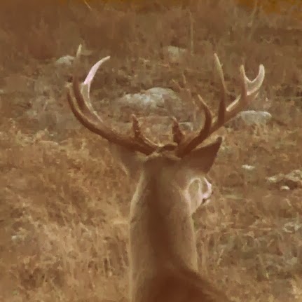 Doug Rogers Photo 14