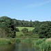 Clayton Wood Photo 28