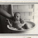 Debbie Forbes Photo 10