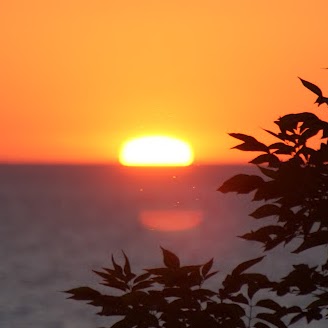 Sue Howell Photo 1