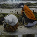 Steven Zucker Photo 21