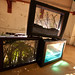 Deborah Henley Photo 23