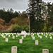Teresa Settle Photo 7