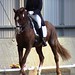 Carolyn Hansen Photo 16