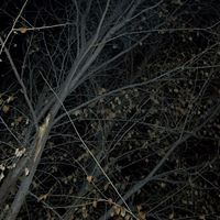 Michael Searfoss Photo 5