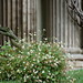 Barbara Boynton Photo 16