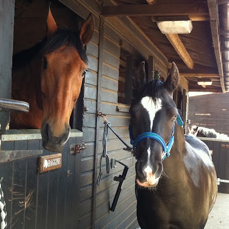 Lottie Brown Photo 6