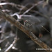 Rita Strickland Photo 22