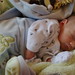 Victor Weeks Photo 22