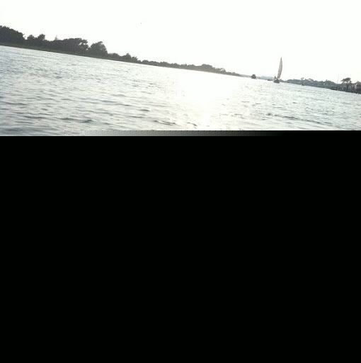 Kelly Banner Photo 7