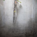 Yuan Liu Photo 29