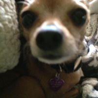 Megan Frost Photo 24