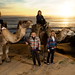 Jennifer Meadors Photo 18