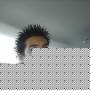 Hao Truong Photo 22
