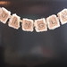 Kelly Banner Photo 2