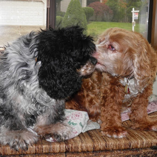 Cathy Gilbert Photo 39