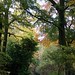 Bradford Hunter Photo 20