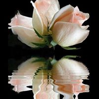 Judy Mercer Photo 26
