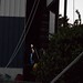 Ray Dunn Photo 34