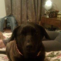 Roxanne Abbott Photo 5
