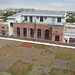 Susan Roof Photo 9