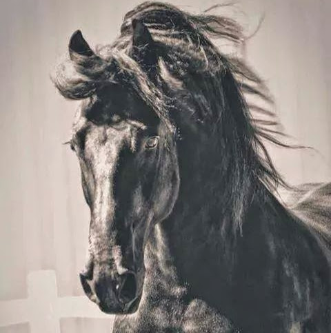 Hugo Monge Photo 5