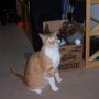 Connie Ames Photo 17