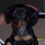 Susan Crabtree Photo 19