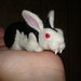 Deborah Howe Photo 29