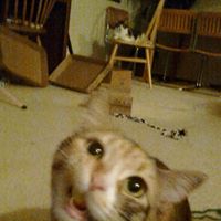 Elizabeth Burrow Photo 22