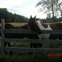 Diane Cunningham Photo 45