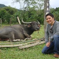 Man Luu Photo 22