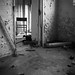Matthew Wold Photo 11