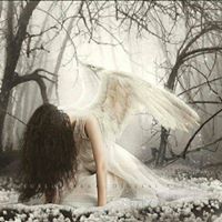 Renee Wilkins Photo 33