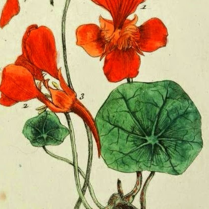 Catherine Barnes Photo 41