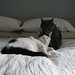 Arthur Moody Photo 14
