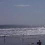 Diana Sayre Photo 12