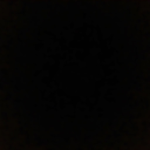 Seamus Gallagher Photo 11