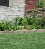 Stacy Johnson Photo 7