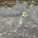 Robin Calvert Photo 15