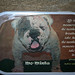 Jannette Burns Photo 8