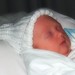 Orton Payne Photo 5