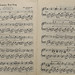 Felix Song Photo 16