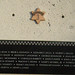 Timothy Lange Photo 11