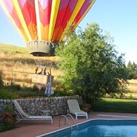 Susan Dokken Photo 1