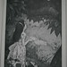 Alice Newell Photo 14